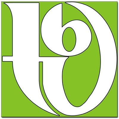 tv-burgebrach logo